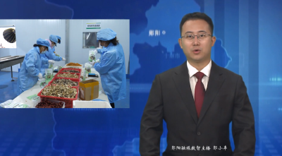 【好山好水育优品】十堰坤田农业：科技赋能产业链 山区特色农业闯出新路径