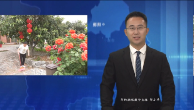柳陂镇：建设五色柳陂 打造“全国文明乡镇”