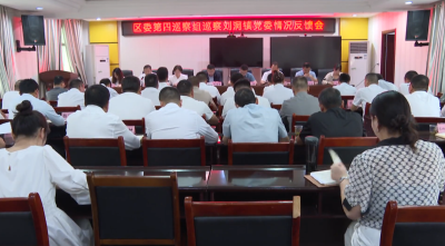 区委第四巡察组巡察刘洞镇党委情况反馈会召开