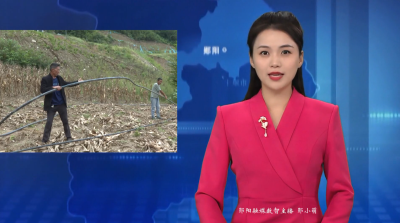 叶大乡：干群齐心 全力开展灾后重建和生产自救