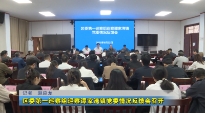 区委第一巡察组巡察谭家湾镇党委情况反馈会召开