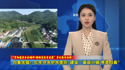 “贯彻落实全会精神 推动高质量发展”书记局长访谈 | 白桑关镇：扛牢守水护水责任 建设“菌菇小镇 秀美白桑”