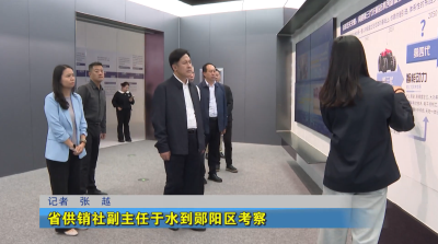 省供销社副主任于水到郧阳区考察