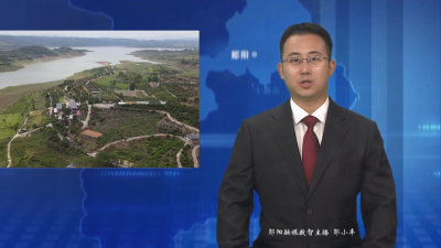 【好山好水育优品】安阳镇：四季果香绘“丰”景