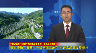 【贯彻落实全会精神•推动高质量发展”书记局长访谈】谭家湾镇：聚焦“一镇两园三地” 打造高质量发展标杆