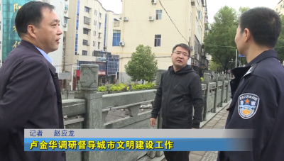 卢金华调研督导城市文明建设工作