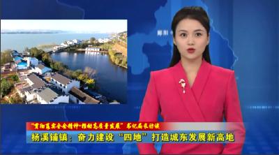  “贯彻落实全会精神•推动高质量发展”书记局长访谈｜杨溪铺镇：奋力建设“四地” 打造城东发展新高地