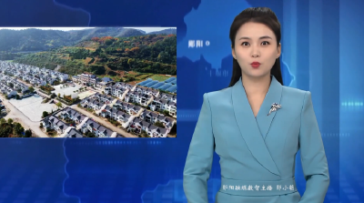 【共建“六无”和美乡村】卧龙岗村：多点发力绘就美丽乡村新图景