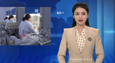 【“三百培育”在行动 奋勇争先走前列】湖北金水源：深耕种苗研发“芯”动力   弥补中药材产业短板