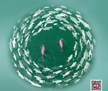 瞭望·治国理政纪事｜坚定推进长江“十年禁渔”