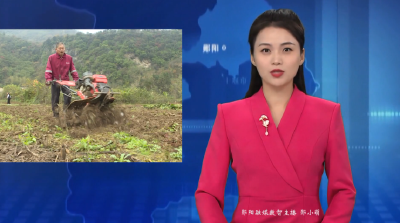 鲍峡镇：抢抓农时忙秋播 秋冬生产掀热潮