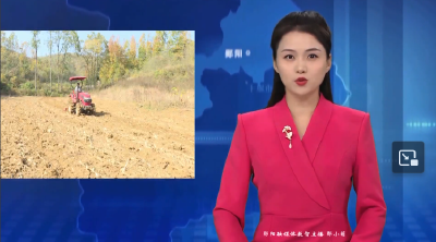 白桑关镇：抢晴日忙秋播 精耕细作保丰收