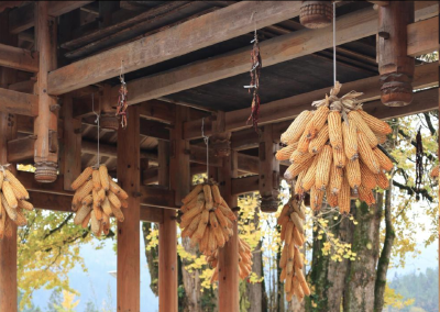 市井烟火处 法治花开时——恩施州以“法律三进”推动普法融入群众生活