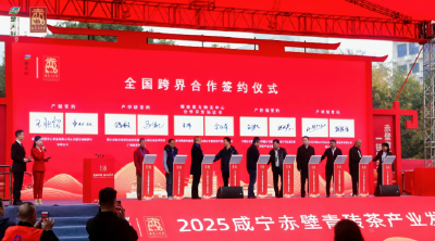 千年茶香焕新意——2025咸宁赤壁青砖茶产业发展大会侧记