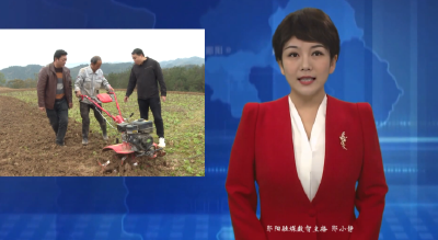郧阳区：多点发力推进秋播 筑牢粮食安全根基