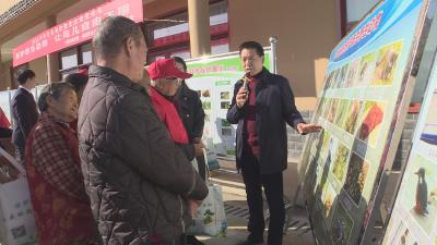 市、区多部门联合开展保护野生动物宣传月活动