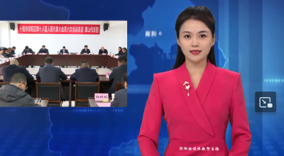 刘伟华参加区十八届人大六次会议茶店 谭山代表团审议