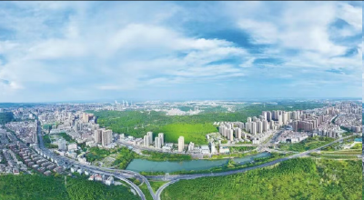 与“城市合伙人”同心共赢——荆门市“楚商回乡 共建支点”工作回眸