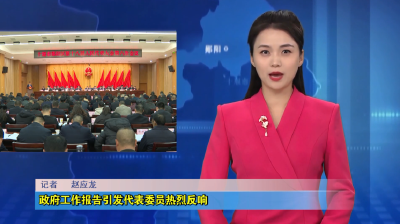 政府工作报告引发代表委员热烈反响