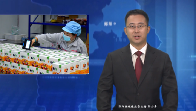 【好山好水育优品】全产业链培育   郧阳“黑疙瘩”成群众致富好产业