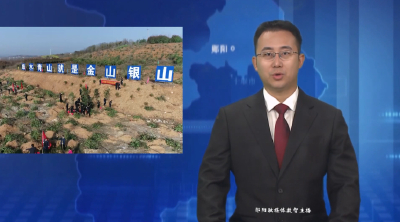 郧阳区：厚植生态底色 绘就绿色画卷