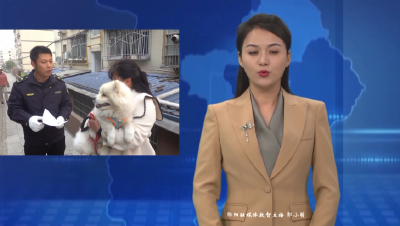 郧阳区开展不文明养犬集中整治专项行动