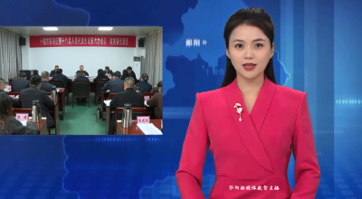 梅华参加区十八届人大六次会议城关镇代表团审议