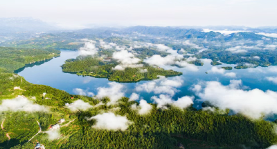 快看~宜都版“疯狂动物城”！