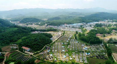 “山间珍味”变身“全球俏货”！随县“富民菇”藏着怎样的振兴密码？