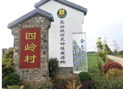 学习贯彻党的二十届四中全会精神·一线见闻丨掇刀区人武部、掇刀区农业农村局乡村振兴驻村工作队帮扶四岭村侧记