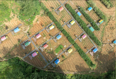 “无中生有”一枚蛋 ——恩施市太阳河乡小鸡“孵”出大产业