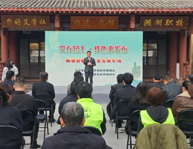 在艾香里，听一线“蕲艾人”讲故事