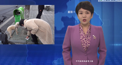 文明养犬从我做起  郧阳市民积极践行“五养”守则