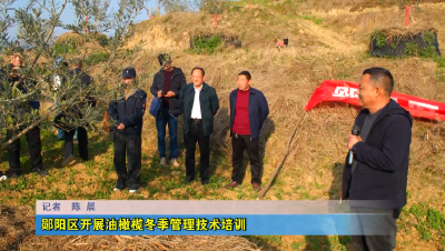 郧阳区开展油橄榄冬季管理技术培训