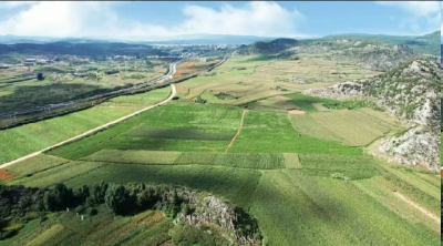 这些宜昌“土特产”，凭啥值千亿？