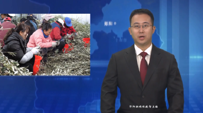 深耕本土 “育苗田” 催开郧阳产业 “向阳花”