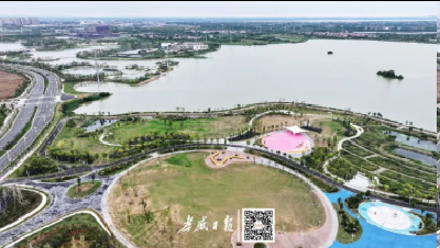 奋进的孝感 | 向“新”！向“优”！向“暖”！