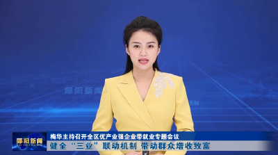 梅华主持召开全区优产业强企业带就业专题会议