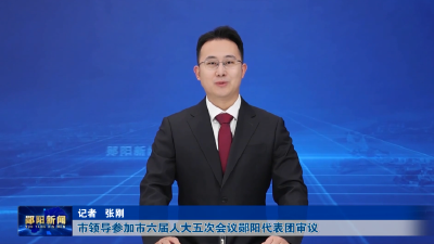 市领导参加市六届人大五次会议郧阳代表团审议