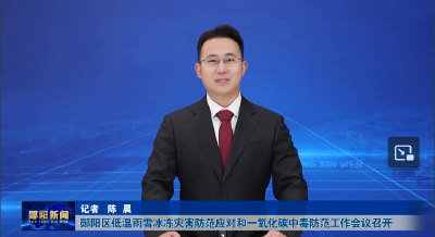 郧阳区低温雨雪冰冻灾害防范应对和一氧化碳中毒防范工作会议召开