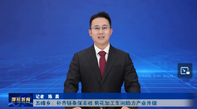 五峰乡：补齐链条保丰收 菊花加工车间助力产业升级