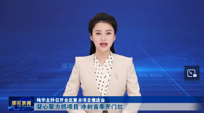 梅华主持召开全区重点项目推进会 凝心聚力抓项目 冲刺首季开门红