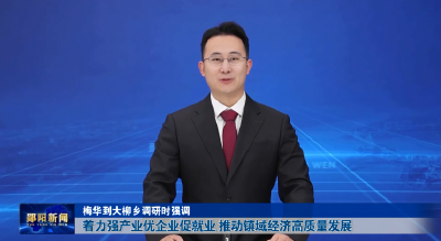 梅华到大柳乡调研时强调 着力强产业优企业促就业 推动镇域经济高质量发展