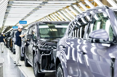 一线观｜起势进，全年稳！