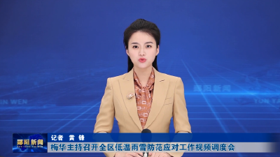 梅华主持召开全区低温雨雪防范应对工作视频调度会