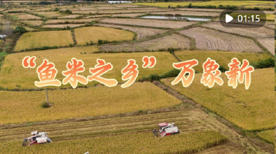 “鱼米之乡”万象新