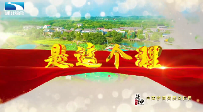 《是这个理》：“织”景融城乡