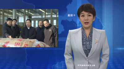 梅华到南化塘镇调研 加快项目建设 壮大特色产业 扎实推进乡村全面振兴