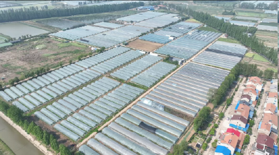 “荆楚优品”出村记：首衡城里的家乡味道