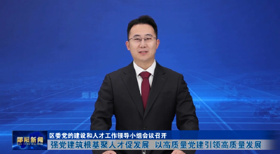 区委党的建设和人才工作领导小组会议召开 强党建筑根基聚人才促发展 以高质量党建引领高质量发展